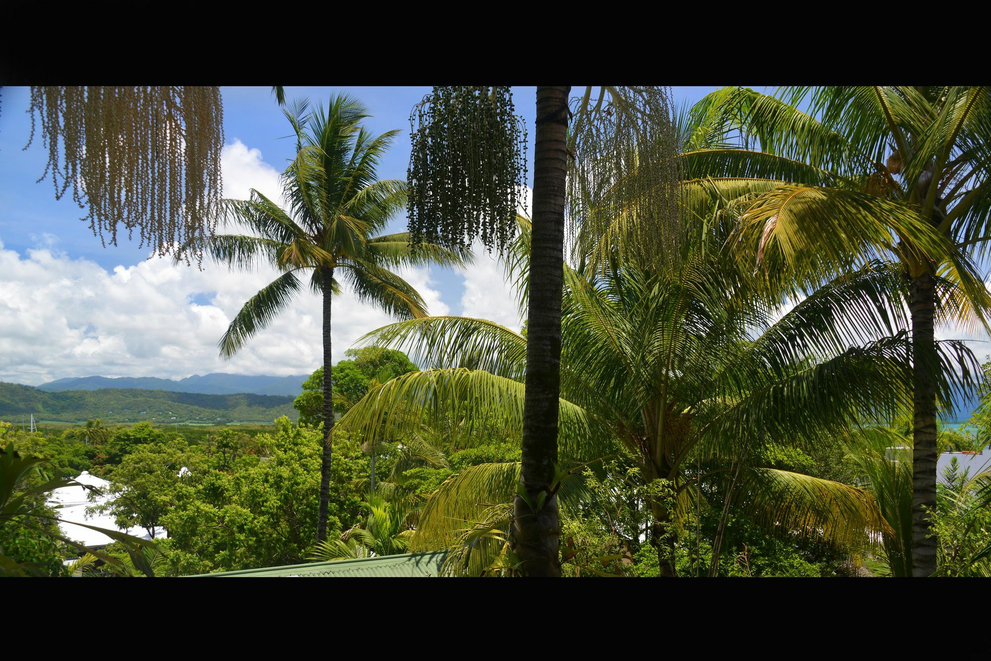 Monsoon Villa B - Luxury Holiday Villa Port Douglas Zewnętrze zdjęcie